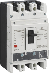TM Adjustable Molded Case Circuit Breaker 80A/100A/125A/160A 3P(3P+N) 0.7-1.0In